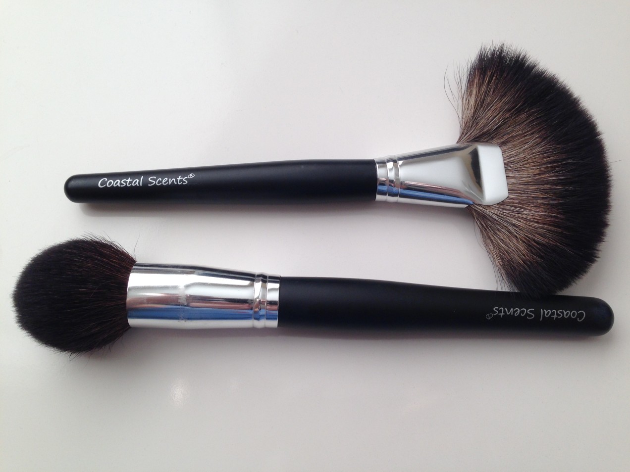 Coastal Scents Classic Fan Brush & Classic Tapered Kabuki Brush The